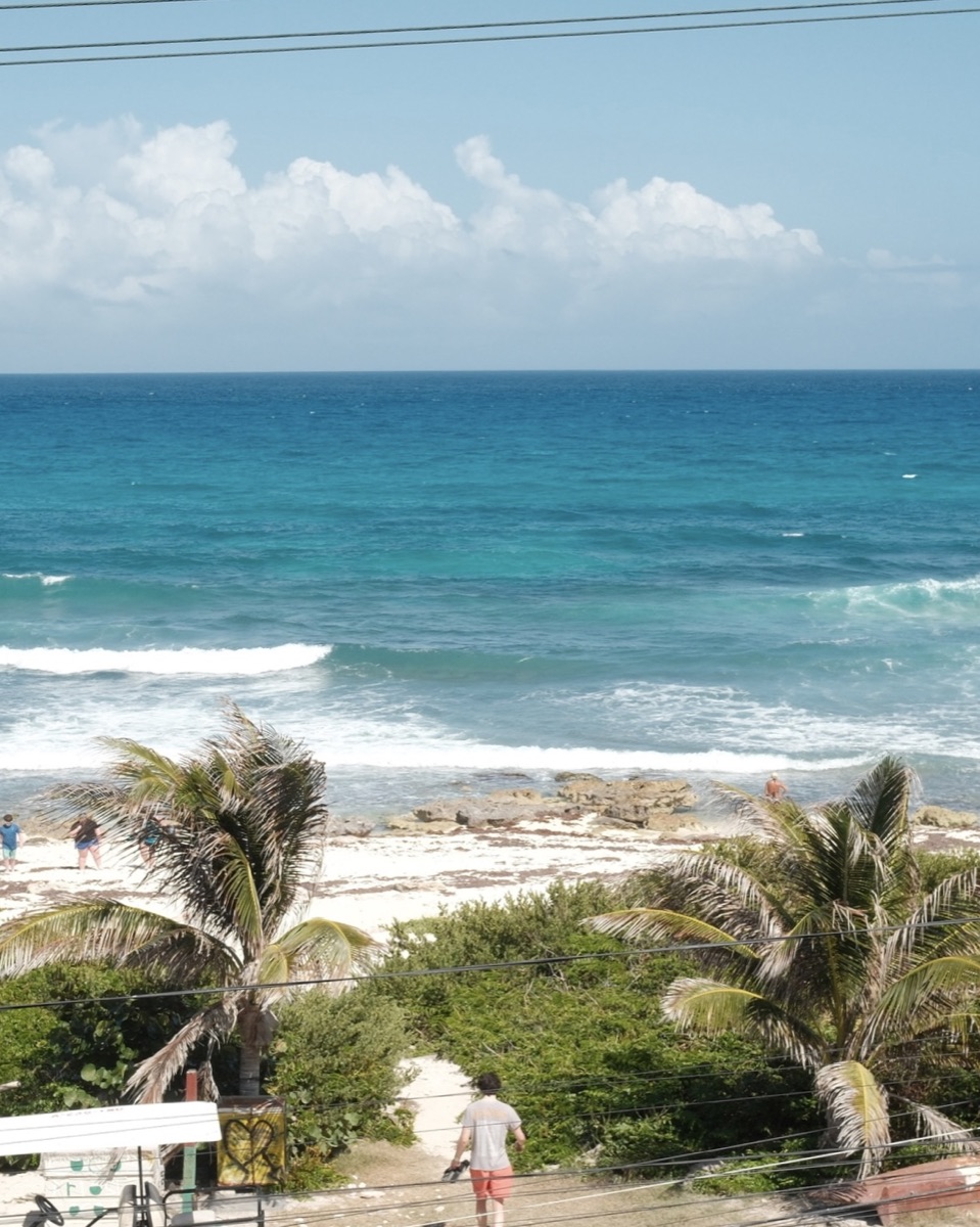 Turquoise ocean and a palm-lined beach in Cancun