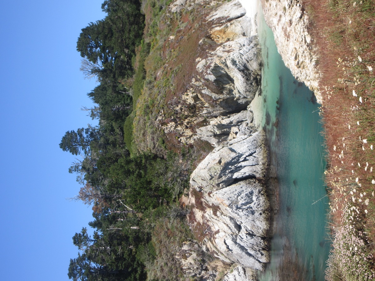 A turquoise cove beneath tree-lined cliffs in Carmel