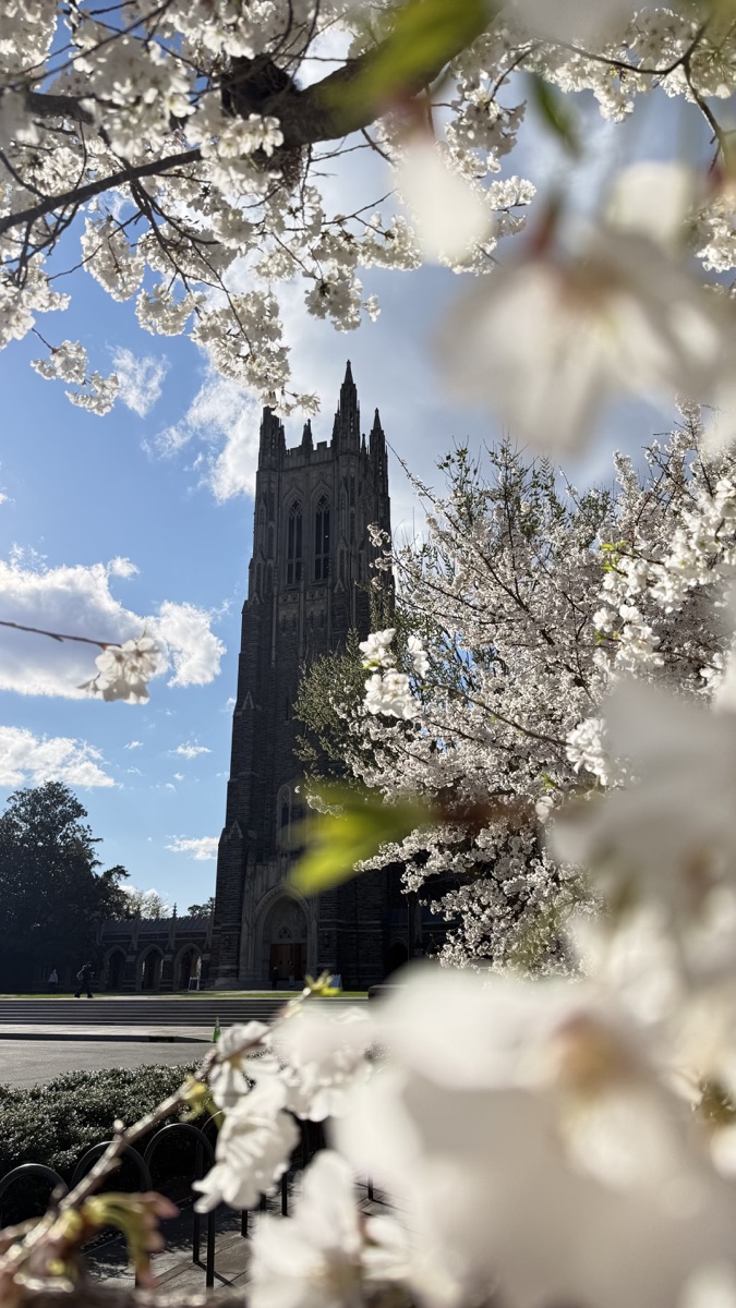 Duke Chapel framed by white spring blossoms